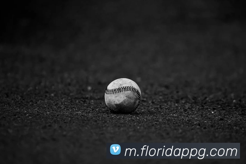 pg官网平台生态图